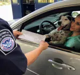 seguros mascotas