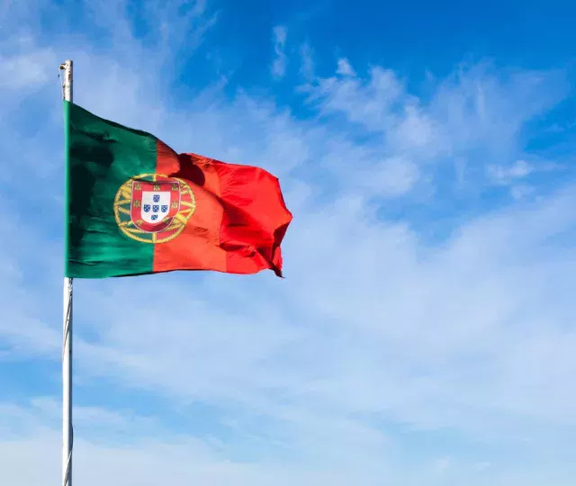 ¿Cuáles son las ayudas y subvenciones que existen en Portugal?